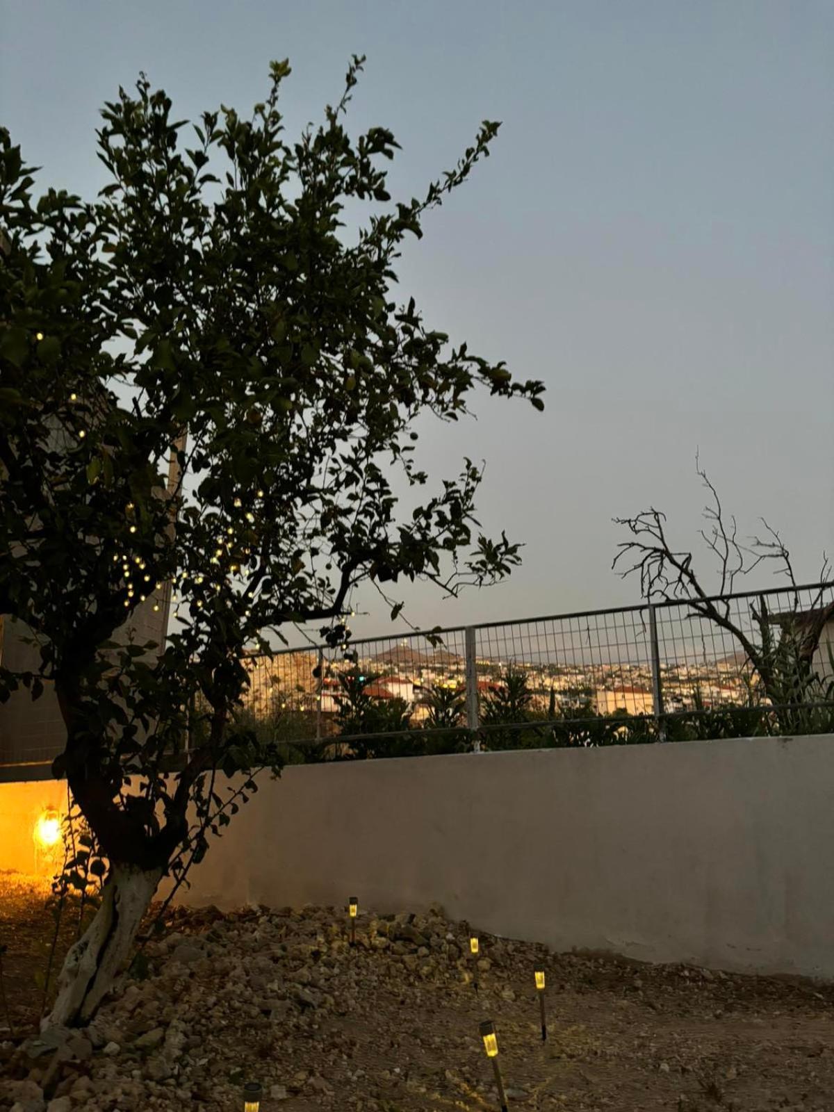 Bibliotheque Vintage Studio & Easy Garden Heraklion  Ngoại thất bức ảnh